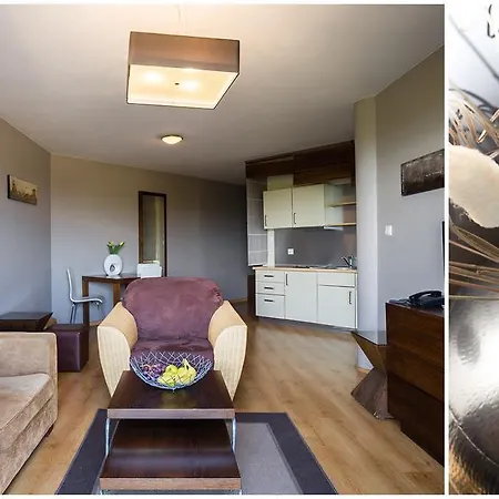 Maloves - Apartament Z Tarasem